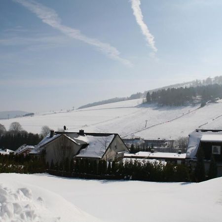 Am Finkenbusch aan de skipiste Willingen  Exterior foto